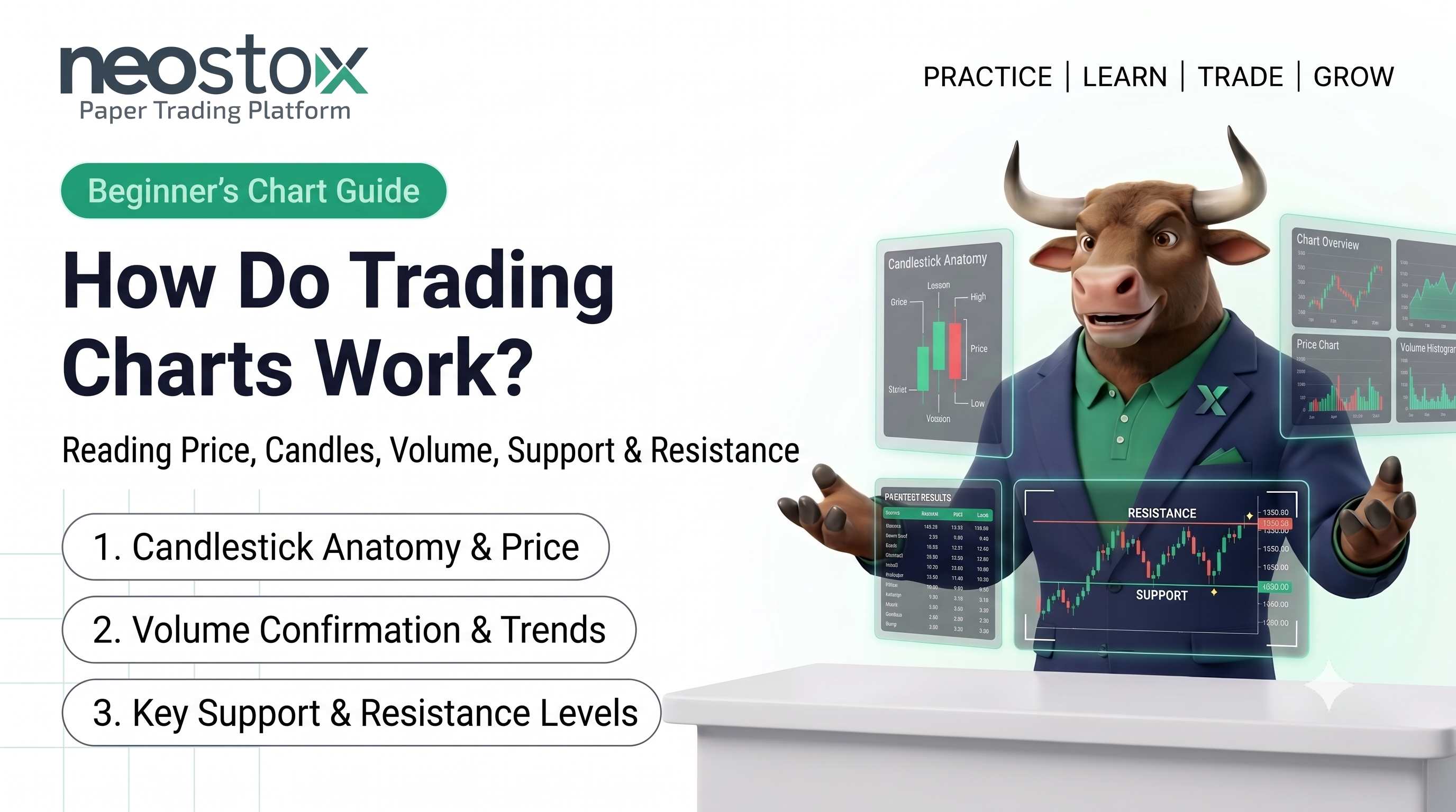How Do Trading Charts Work? A Beginner's Guide to Reading Price, Candles, Volume, Support and Resistance